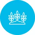 Супериорна адаптација на терен